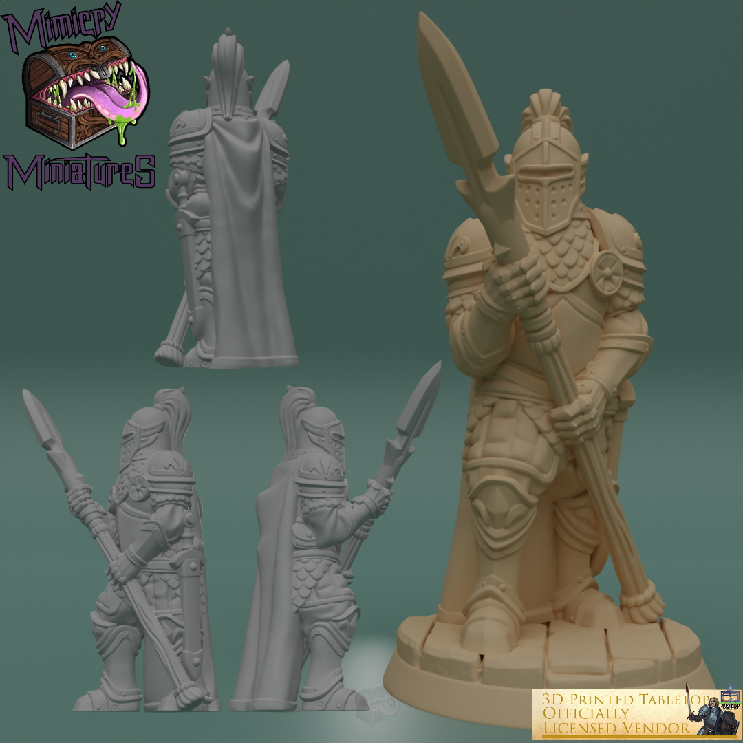 Royal Guards - The Lost Adventures by 3D Printed Tabletop image 1